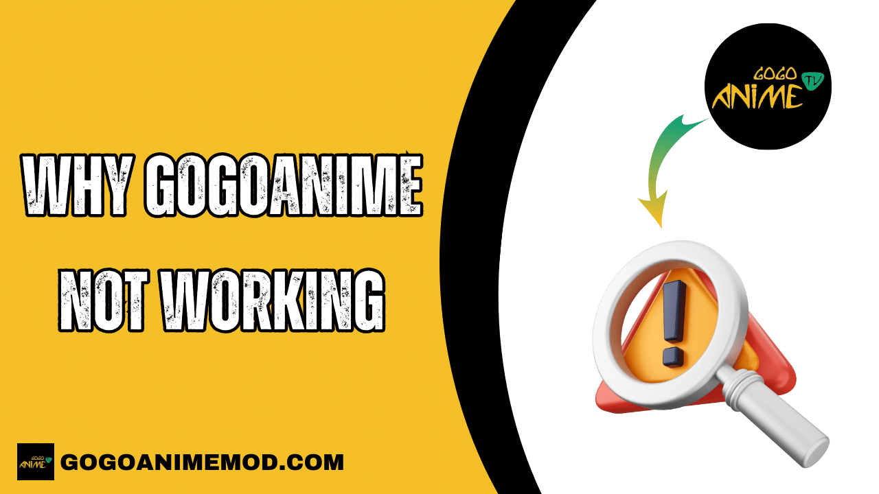 Why GoGoAnime not Working